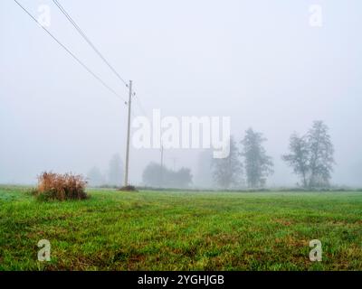 Alba autunnale nella valle dello Schmuttertal vicino a Margertshausen nel Parco naturale delle foreste occidentali di Augusta Foto Stock