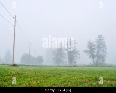 Alba autunnale nella valle dello Schmuttertal vicino a Margertshausen nel Parco naturale delle foreste occidentali di Augusta Foto Stock