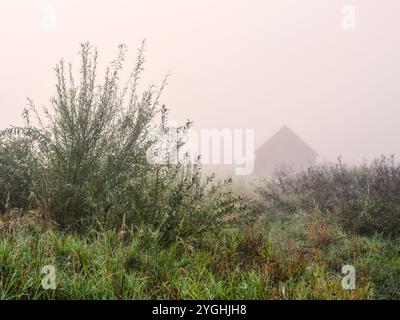 Alba autunnale nella valle dello Schmuttertal vicino a Margertshausen nel Parco naturale delle foreste occidentali di Augusta Foto Stock