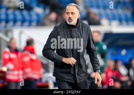 Sinsheim, Germania. 7 novembre 2024. Pellegrino Matarazzo (Rino, Trainer, Cheftrainer, Hoffenheim), gibt Anweisungen, gestikuliert, mit den Armen gestikulieren, Einzelbild, Einzelfoto, Aktion, Action, 07.11.2024, Sinsheim (Deutschland), Fussball, UEFA Europa League, Gruppenphase, TSG 1899 HOFFENHEIM - OLYMPIQUE LYON, LE NORMATIVE VIETANO QUALSIASI USO DI FOTOGRAFIE COME SEQUENZE DI IMMAGINI E/O QUASI-VIDEO. Credito: dpa/Alamy Live News Foto Stock