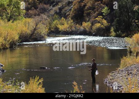 Pesca con la mosca a Waterton Canyon Colorado Foto Stock