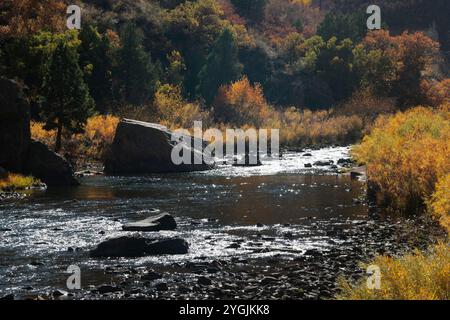 Autunno sul fiume Platte Foto Stock