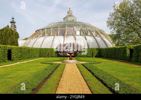 Serre reali di Laeken. Bruxelles, regione Bruxelles-capitale, Belgio. Foto Stock