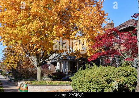 Strada residenziale con colori autunnali brillanti Foto Stock
