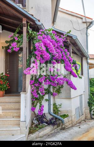 Vecchie strade storiche e da sogno. Bellissime case e negozi in romantiche località turistiche. Strade e piccole piazze splendidamente disposte a Brsec, Istr Foto Stock