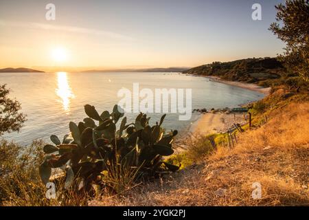 Vista serale da una collina sul lago. Splendidi paesaggi in mezzo alla natura. Romantico tramonto a Balatonakarattya, Lago Balaton, Ungheria Foto Stock