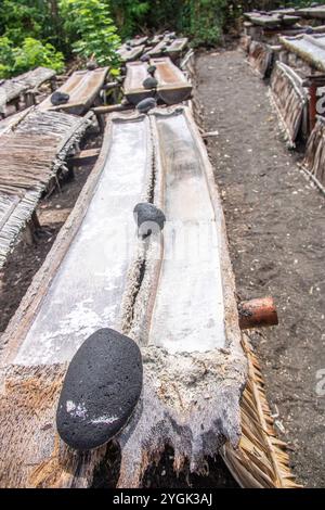 Coltivazione tradizionale del sale, estrazione di sale da parte dei famosi produttori di sale. Produzione di sale d'acqua marina attraverso l'evaporazione a Bali, Indonesia Foto Stock