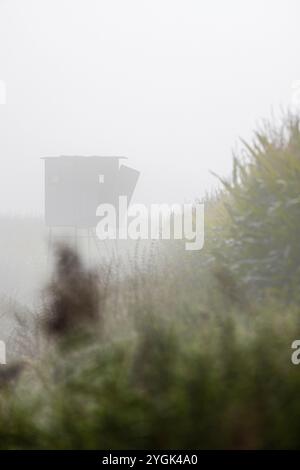 Nebbia in un campo, un sedile alto sullo sfondo Foto Stock