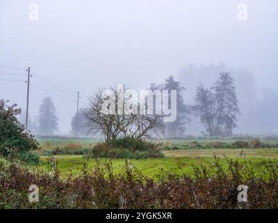 Alba autunnale nella valle dello Schmuttertal vicino a Margertshausen nel Parco naturale delle foreste occidentali di Augusta Foto Stock