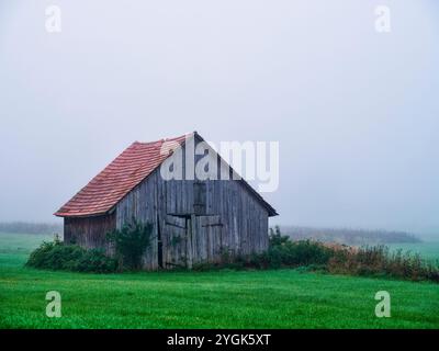 Alba autunnale nella valle dello Schmuttertal vicino a Margertshausen nel Parco naturale delle foreste occidentali di Augusta Foto Stock