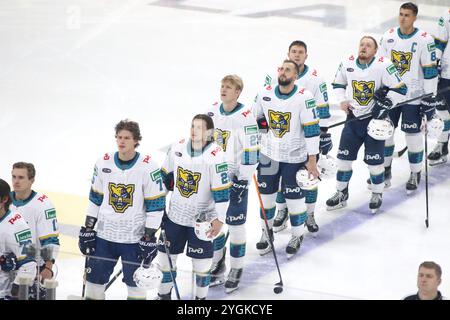 San Pietroburgo, Russia. 7 novembre 2024. Giocatori del Sochi Hockey Club visti in azione durante l'Hockey match, Kontinental Hockey League 2024/2025 tra SKA San Pietroburgo e Sochi all'Ice Sports Palace. (Punteggio finale; SKA San Pietroburgo 2:5 Sochi) credito: SOPA Images Limited/Alamy Live News Foto Stock