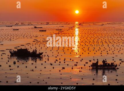 Pechino, Cina. 7 novembre 2024. Una foto scattata il 7 novembre 2024 mostra gli agricoltori che raccolgono abalone nella baia di Ailun della città di Rongcheng, nella provincia di Shandong nella Cina orientale. Crediti: Li Xinjun/Xinhua/Alamy Live News Foto Stock