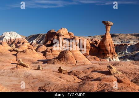 I Toadstools hanno eroso le formazioni rocciose di pietra arenaria Hoodoo Mushroom. Escursioni Scenic Grand Staircase Escalante National Mounument Landscape, Utah sud-ovest degli Stati Uniti Foto Stock