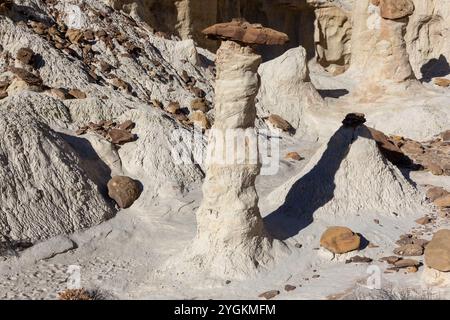 I Toadstools hanno eroso le formazioni rocciose di pietra arenaria Hoodoo Mushroom. Escursioni Scenic Grand Staircase Escalante National Mounument Landscape, Utah sud-ovest degli Stati Uniti Foto Stock