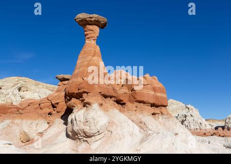 I Toadstools hanno eroso le formazioni rocciose di pietra arenaria Hoodoo Mushroom. Escursioni Scenic Grand Staircase Escalante National Mounument Landscape, Utah sud-ovest degli Stati Uniti Foto Stock