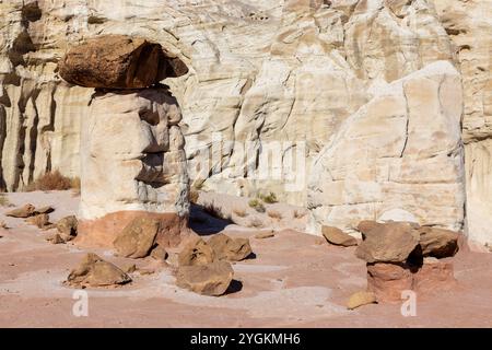 I Toadstools hanno eroso le formazioni rocciose di pietra arenaria Hoodoo Mushroom. Escursioni Scenic Grand Staircase Escalante National Mounument Landscape, Utah sud-ovest degli Stati Uniti Foto Stock