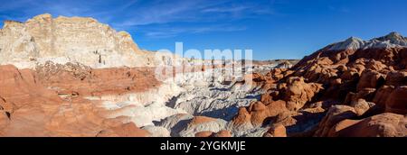 I Toadstools hanno eroso le formazioni rocciose di pietra arenaria Hoodoo Mushroom. Escursioni Scenic Grand Staircase Escalante National Mounument Landscape, Utah sud-ovest degli Stati Uniti Foto Stock