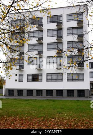 28 ottobre 2024, Sassonia-Anhalt, Dessau-Roßlau: Veduta dello storico studio del Bauhaus Dessau. I monolocali residenziali erano un tempo destinati a studenti e giovani maestri. Il Bauhaus è un sito patrimonio dell'umanità dell'UNESCO. Foto: Waltraud Grubitzsch/dpa Foto Stock