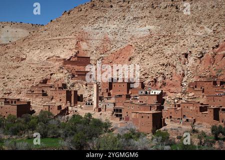 Villaggio in un'oasi ai margini del deserto del Sahara. La fotografia è stata scattata durante un viaggio attraverso il Marocco. Foto Stock