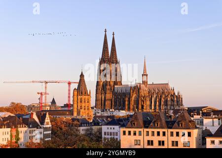 Paesaggio urbano di Colonia con la Cattedrale di Colonia all'alba dell'ora d'oro, Renania settentrionale Vestfalia, Germania. Foto Stock