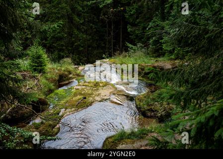 Un piccolo torrente fluviale che scorre sopra la cima della cascata Kamieniczka, circondato da rocce e vegetazione lussureggiante, Szklarska Poreba, Polska Foto Stock