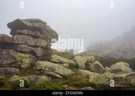 I monti Karkonosze avvolti dalla nebbia creano un paesaggio mistico di cime nebbiose e valli nascoste. Foto Stock