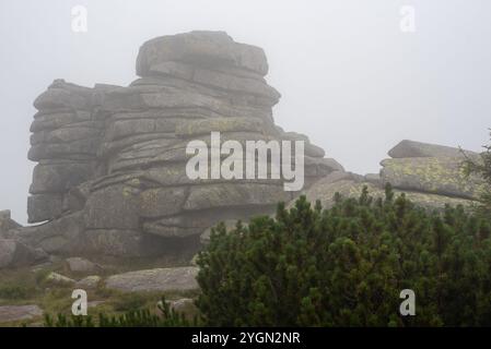 I monti Karkonosze avvolti dalla nebbia creano un paesaggio mistico di cime nebbiose e valli nascoste. Foto Stock