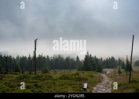 I monti Karkonosze avvolti dalla nebbia creano un paesaggio mistico di cime nebbiose e valli nascoste. Foto Stock