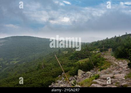 I monti Karkonosze avvolti dalla nebbia creano un paesaggio mistico di cime nebbiose e valli nascoste. Foto Stock