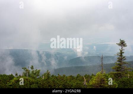 I monti Karkonosze avvolti dalla nebbia creano un paesaggio mistico di cime nebbiose e valli nascoste. Foto Stock