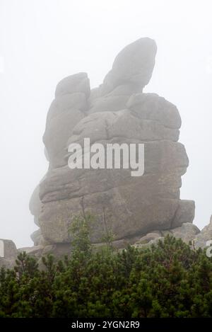 I monti Karkonosze avvolti dalla nebbia creano un paesaggio mistico di cime nebbiose e valli nascoste. Foto Stock