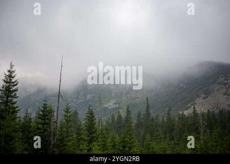 I monti Karkonosze avvolti dalla nebbia creano un paesaggio mistico di cime nebbiose e valli nascoste. Foto Stock