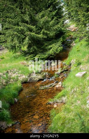 Un dolce ruscello scorre attraverso i monti Jizera in Cechia, annidato tra una foresta lussureggiante e tranquilli paesaggi montani. Foto Stock