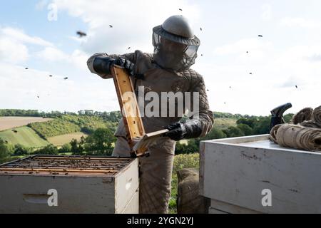 JASON STATHAM in THE BEEKEEPER, diretto da DAVID AYER. Crediti: Cedar Park Studios / Miramax / album Foto Stock