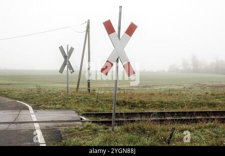 Le croci di Sant'Andrea si trovano ad un passaggio a livello su una diramazione della ferrovia nei pressi di Neugarten, 06.11.2024, Neugarten, Brandeburgo, Germania, Europa Foto Stock