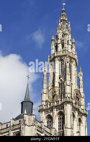 Torre della Cattedrale di nostra Signora, Onze-lieve-Vrouwekathedraal, gotica, sito Patrimonio dell'Umanità dell'UNESCO, Anversa, Belgio, Europa Foto Stock