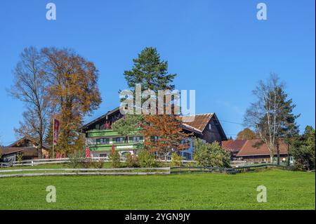 Locanda sullo Schweineberg, cielo azzurro, vicino a Ofterschwang, Allgaeu, Baviera, Germania, Europa Foto Stock