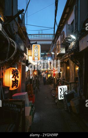 Una donna cammina attraverso un vicolo a Tokyo la sera. Sankaku Chitai a Sangenjaya è una fitta collezione di ristoranti situati in strade strette Foto Stock