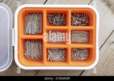 Raccolta di chiodi, chiodi ad alette, viti, plastica e bulloni in una scatola di plastica sul tavolo di legno Foto Stock