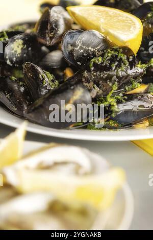 Cozze al vapore in salsa al vino bianco e ostriche sul piatto Foto Stock