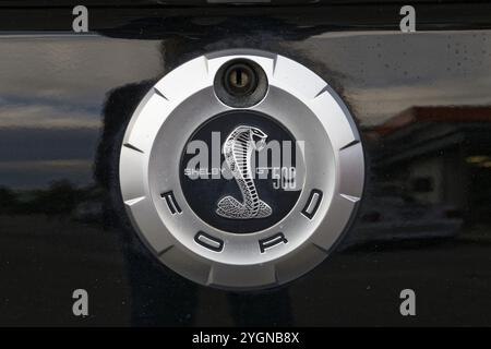 Automobile, mostra automobilistica, emblema, auto d'epoca su misura, provincia del Quebec, Canada, Nord America Foto Stock