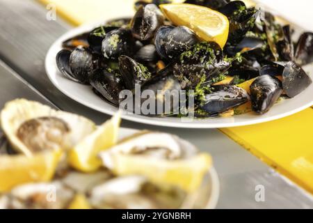 Cozze al vapore in salsa al vino bianco e ostriche sul piatto Foto Stock