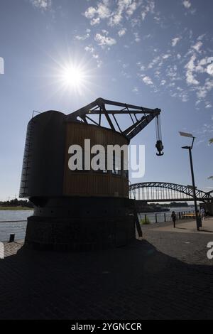 Cattedrale, Rheinauhafen, Ponte Sud, Colonia, Renania settentrionale-Vestfalia, gru sotto le gru, una domenica a Colonia il 14.07.2024 nella Cathedr Foto Stock