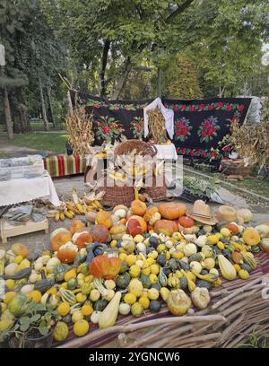 Vivace banchina all'aperto con una varietà di buongustai colorati, zucche e mais. Tappezzeria nera con motivi floreali sullo sfondo, tradizionale Foto Stock