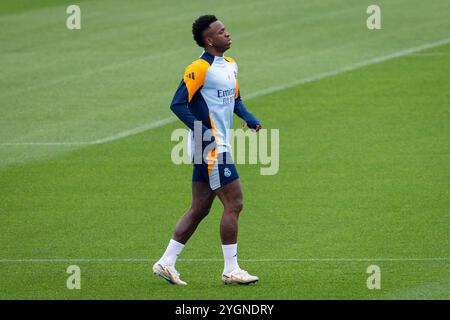 Valdebebas, Madrid, Spagna. 8 novembre 2024. Vinicius Junior del Real Madrid CF ha visto allenarsi durante la sessione di allenamento del Real Madrid e la conferenza stampa in vista della partita della Liga 2024/25 contro CA Osasuna al Ciudad Real Madrid l'8 novembre 2024 a Valdebebas, in Spagna. (Credit Image: © Alberto Gardin/ZUMA Press Wire) SOLO PER USO EDITORIALE! Non per USO commerciale! Foto Stock