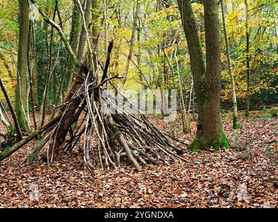 Un rifugio costruito con rami di alberi a Nidd Gorge Woods in autunno a Knaresborough, North Yorkshire, Inghilterra Foto Stock