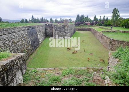 Jaca, Spagna - 21 settembre 2024: Mura del Castello di San Pedro e Cittadella di Jaca, Aragona, Spagna Foto Stock