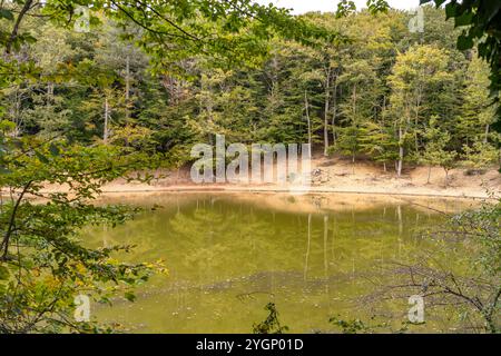 Laghetto d'Umbra Der SEE laghetto Falascone d'Umbra im Gargano-Parco Nazionale, Gargano, Puglia, Italia, Europa il Lago Umbra laghetto Falascone d UMB Foto Stock