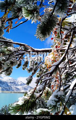 Rami verdi di pino innevato e rosone rosse fianchi contro le pittoresche Alpi, un lago di montagna con acqua azzurra e cielo blu Foto Stock