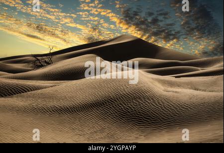 Le serene dune di sabbia ondulata di le Khwair, Oman, brillano sotto un cielo dorato al tramonto, mentre le nuvole aggiungono profondità e contrasto. Un ramo asciutto e solitario migliora il th Foto Stock